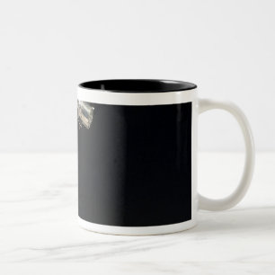 Taza Bicolor El telescopio espacial de Hubble en órbita sobre