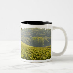 Taza Bicolor El viñedo y un valle con un bosque -