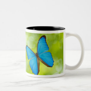 Taza Bicolor El volar de las mariposas