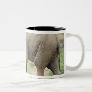 Taza Bicolor Elefante bebé siguiendo a la madre, Corbett
