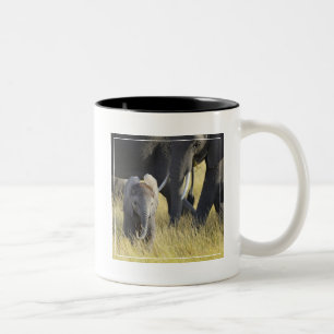 Taza Bicolor Elefante del bebé