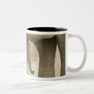 Taza Bicolor Elefante indio / asiático y cría, Corbett