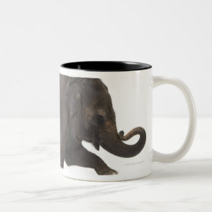 Taza Bicolor Elefante que realiza truco en la caja