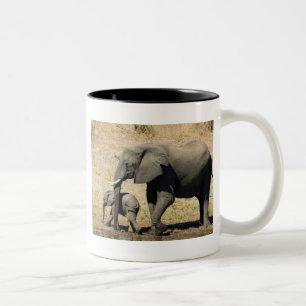 Taza Bicolor Elefante y madre del bebé