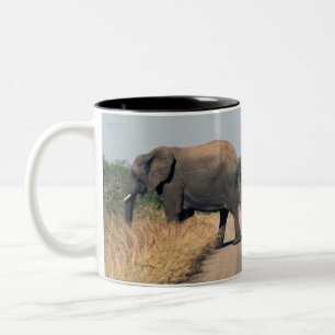 Taza Bicolor Elefantes