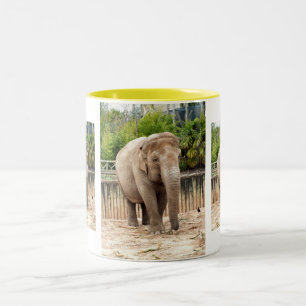 Taza Bicolor Elefantes de la India