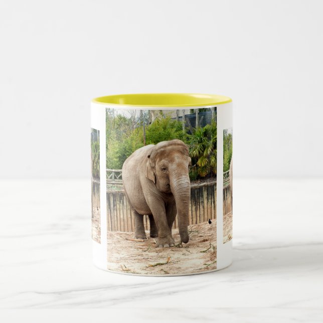 Taza Bicolor Elefantes de la India (Centro)
