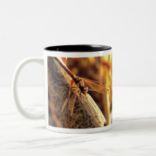 Taza Bicolor Elegante Red Darter Dragonfly Inspire Art