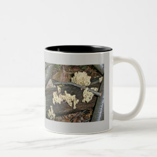 Taza Bicolor Elementos de coordenadas de hongos corales