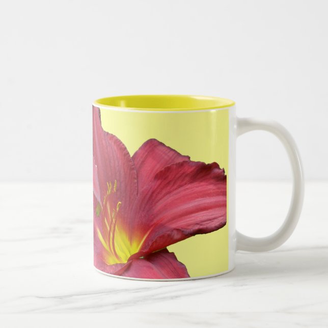 Taza Bicolor Elementos de coordenadas diurnas rojas (Derecha)