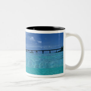 Taza Bicolor Embarcadero 3 del aterrizaje