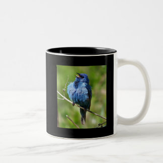 Taza Bicolor Empavesado de añil 1, caliente todo el pájaro