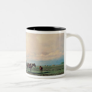 Taza Bicolor En el campo, 1872