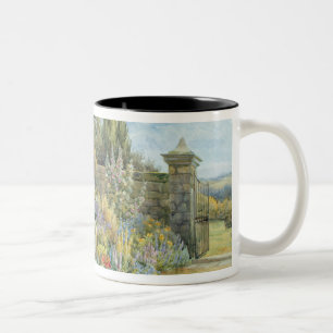 Taza Bicolor En el jardín