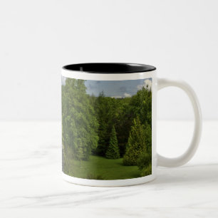 Taza Bicolor En Irlanda, en el castillo de Blarney una torre de
