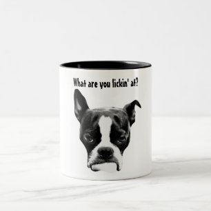 Taza Bicolor ¿En qué usted lickin?