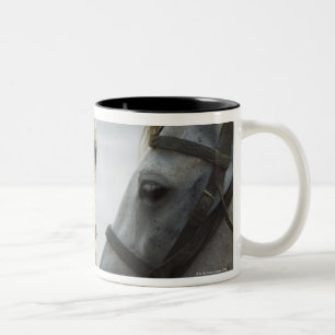 Taza Bicolor Encuentro de dos caballos