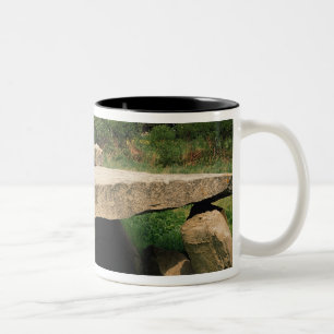 Taza Bicolor Entrada al hypogaea