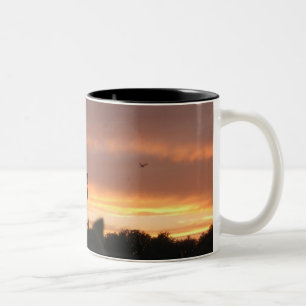 Taza Bicolor Entrada de lámpara y pájaro