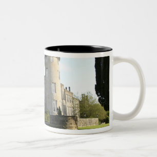 Taza Bicolor Entrada lateral del Castillo de Dromoland sin pers