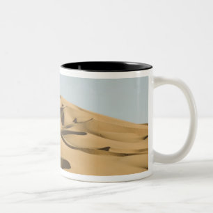 Taza Bicolor Erg Awbari, desierto del Sahara, Fezzan, Libia. 4