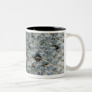 Taza Bicolor Escalas de pescados 2