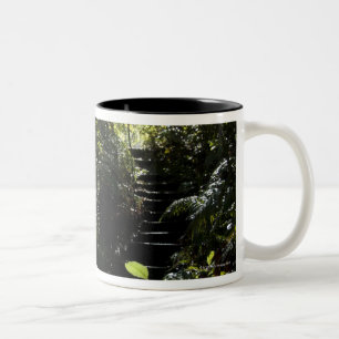 Taza Bicolor Escalera/sendero rústicos en el bosque, luz del