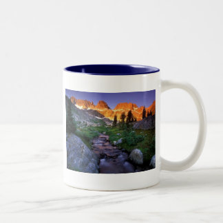 Taza Bicolor Escena I de la naturaleza