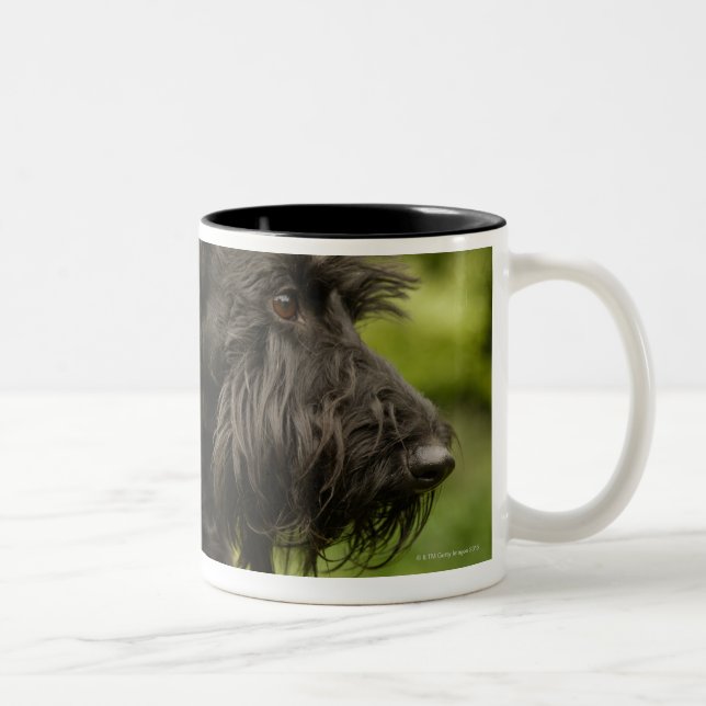 Taza Bicolor Escocés Terrier (Derecha)