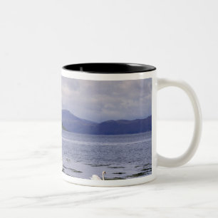 Taza Bicolor Escocia, Highland, Wester Ross, Stalker