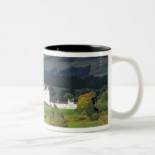 Taza Bicolor Escocia, Tayside, castillo de Blair. En un esmeral