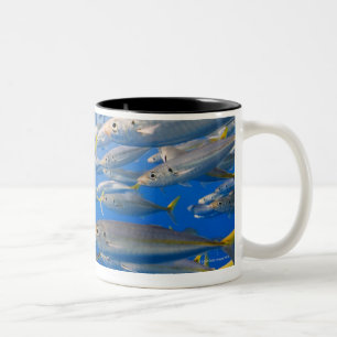 Taza Bicolor Escuela de los corredores de arco iris, mar de