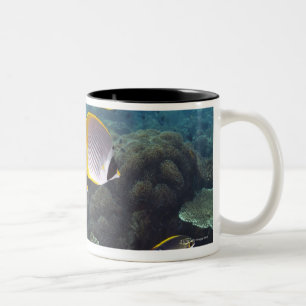 Taza Bicolor Escuela de los pescados 2