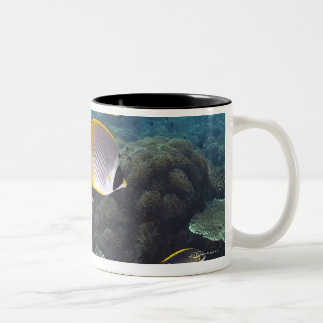 Taza Bicolor Escuela de los pescados 2 (Derecha)