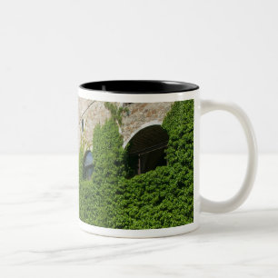 Taza Bicolor ESLOVENIA, Ljubljana: Colina del Castillo / Ljublj
