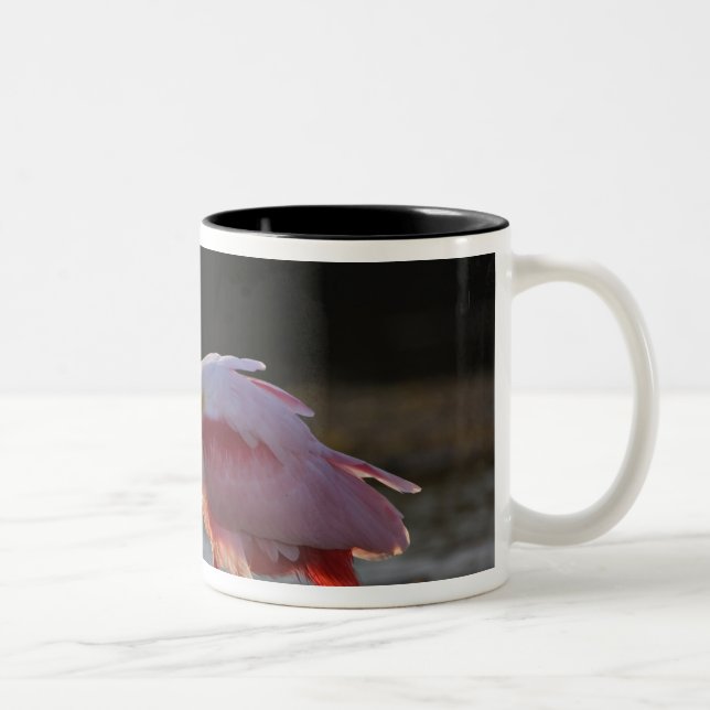 Taza Bicolor Espátula rosada, Ajaia ajaja, Ding Darling (Derecha)