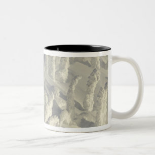 Taza Bicolor Esquiador alpino en fantasmas de nieve espesos en 