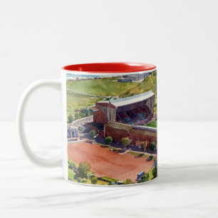 Taza Bicolor Estadio histórico Pittodrie Aberdeen