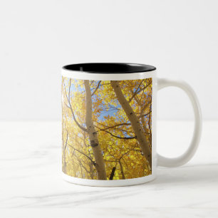 Taza Bicolor Estados Unidos, California, Sierra Nevada.Caída