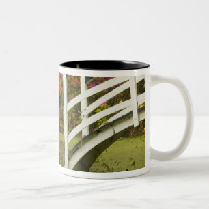 Taza Bicolor Estados Unidos; Carolina del Sur; Charleston; 2