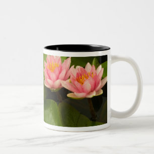Taza Bicolor Estados Unidos, DC, Washington, Kenilworth 4