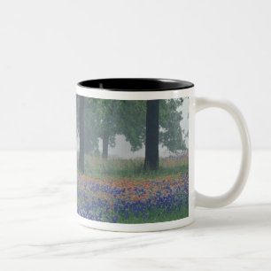 Taza Bicolor Estados Unidos, Texas, Texas Hill Country Expansiv