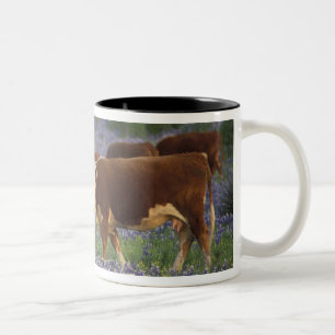 Taza Bicolor Estados Unidos, Texas, Texas Hill Country, Herefor