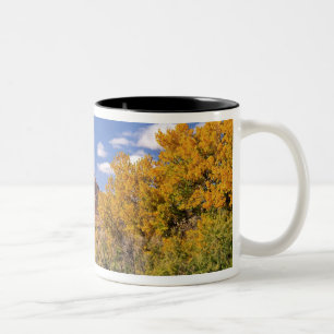 Taza Bicolor Estados Unidos, Utah, cerca del Parque Nacional Ca