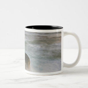Taza Bicolor Estados Unidos, Washington, Islas San Juan. Choqu