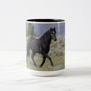 Taza Bicolor Estallión negro salvaje de Mustang y bebida en la