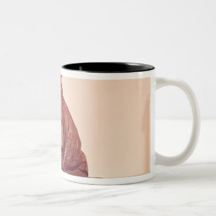 Taza Bicolor Estatua asentada del período de Basho Edo