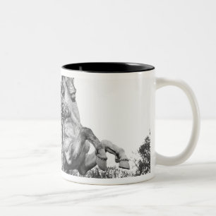 Taza Bicolor Estatua ecuestre de Louis XIV