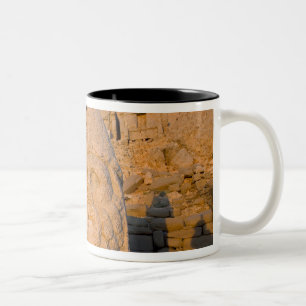 Taza Bicolor Estatuas de cabezas colosales de Dioses custodiand