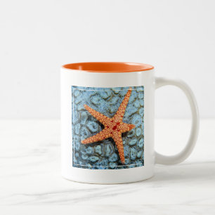 Taza Bicolor Estrellas de mar en un coral con Polips